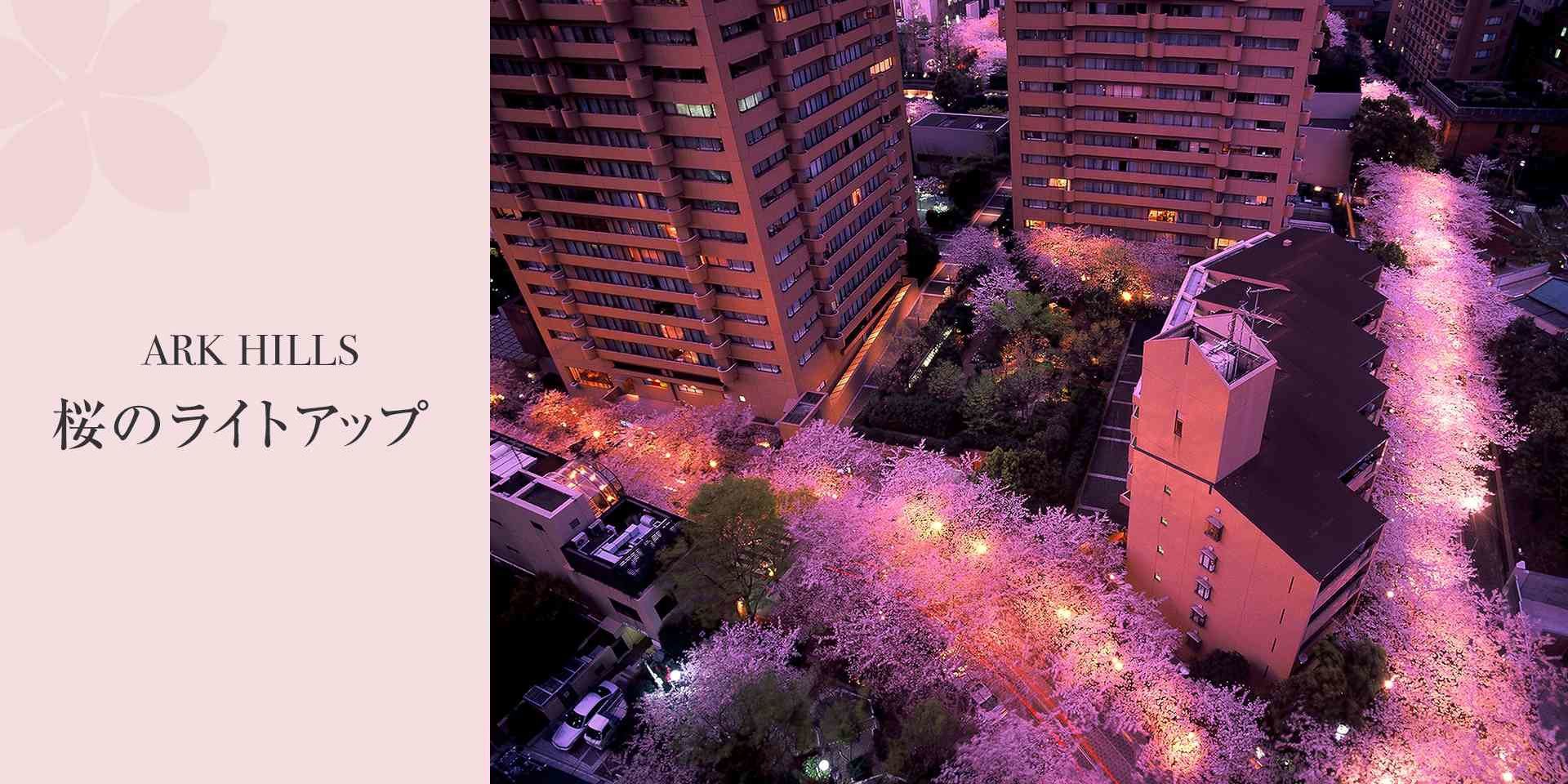 Ark Hills 桜のライトアップ 22 アークヒルズ Ark Hills