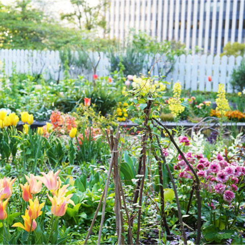 春のガーデン特別公開～スプリング・オープン・ガーデン～
