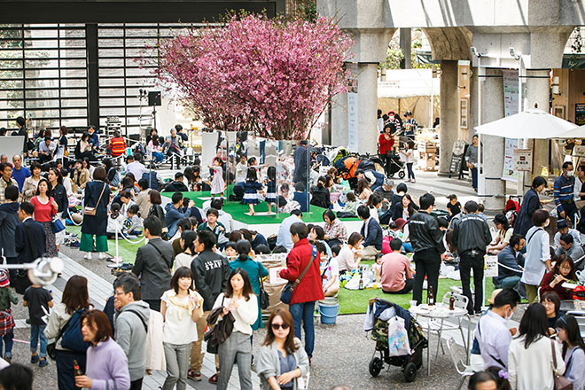 ARK HiLLSのお花見