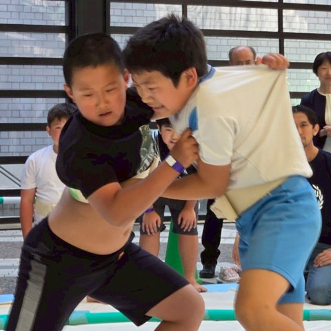 第50回わんぱく相撲 港区大会