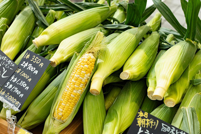 留守農場