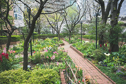 ガーデン/広場/緑 | アークヒルズ - ARK Hills