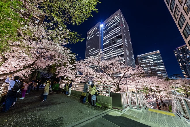The bridge that continues to the South Tower is the best spot to shoot the cherry blossoms on the Spanish slope